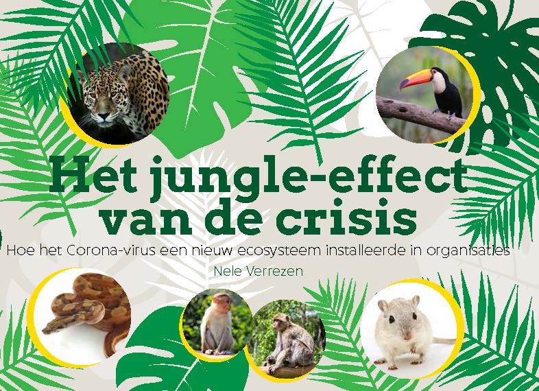 Het jungle-effect van de crisis