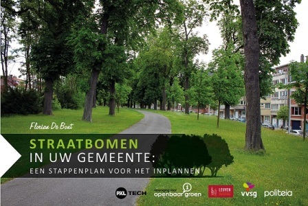 Straatbomen in uw gemeente: een stappenplan voor het inplannen